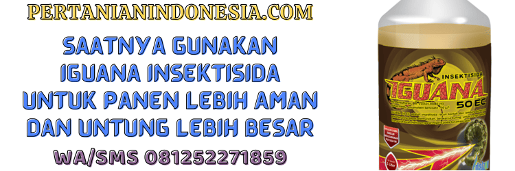 jual,murah,terjangkau,toko pertanian terdekat,toko online,pertanian indonesia